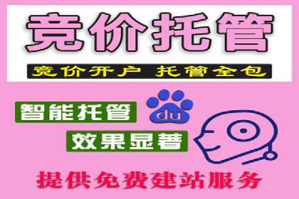 SEM服务公司成功案例解读